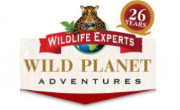 0-Wild-Planet-Adventures-logo
